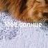 моё солнце моя луна моя единственная Фортуна