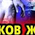 СТАЛИН ОТОРОПЕЛ КОГДА УЗНАЛ КАК ЖУКОВ НАКАЗАЛ ВОРОВ В ОДЕССЕ ЗА СВОЙ МЕРСЕДЕС