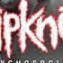 Slipknot Psychosocial Download Festival 2013 4K60FPS RARE