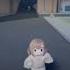 Ashina Chasing Ashina Perro Lentejas