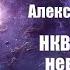 Фантастика Аудиокнига НКВД Война с неведомым Александр Бушков