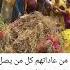 عالم مهبل