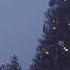 Libera Carol Of The Bells
