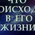 ЧТО ПРОИСХОДИТ В ЕГО ЖИЗНИ Таро онлайн Расклады Таро Гадание Онлайн