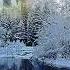 Джек Лондон Зов предков аудиокнига часть 6 Jack London The Call Of The Wild Audiobook
