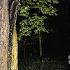 IT TRIED TO CHOKE ME IT WAS A BAD IDEA CAMPING ALONE In The HAUNTED SKINWALKER FOREST