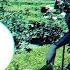 Maur Deep Inside Shadow Child Remix Sola