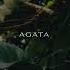 Chillout Organic Downtempo Agata Tulum Special Mix