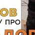 10 вопросов владельцу про лабрадора ретривера характер ум и доброта