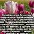 РОДИНА ТЮЛЬПАНОВ КАЗАХСТАН казахстан цветы история