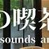 Ambient Sounds JAZZ Forest Sounds Relaxing Work Study Healing MUSIC BGM For Work