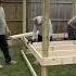 Framing Up The Chicken Coop Stay Tuned This Is Gonna Be Great Chickens Diy Build Shorts