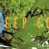 Deep Forest Deep Forest 1992 Part 2 Full Album