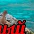 Поездка на Красный ключ Путешествия по Уралу с Taz Travel