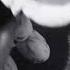 Randy Hilson S SuicideMouse Avi