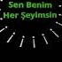 ADANALI AYHAN YENER TAŞER SEN BENİM HERŞEYİMSİN