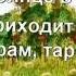 караоке Винни пуха кто ходит в гости по утра