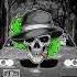 I M A Boss Young Life Feat Lil Wayne Paul Wal