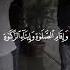 اذكروا الله كثيرا لعلكم تفلحون