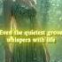 Elven Moments Of Healing And Wisdom Whispers Of Life In The Grove