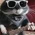 Heavy Metal Hamsters Original Bringing The Nuclear Boom HMH Official Video