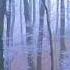 Vivaldi The Four Seasons Felix Ayo I Musici