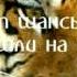 Eye Of The Tiger