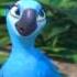 Rio Tribute Telling The World For Luisblumacaw