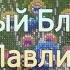 359 Ослепительный Блеск в Алмазной Мозаике Павлин от Американского бренда