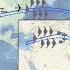 Operation Midnight Hammer B 2 Bombers Used In Iran Attack Return LiveNOW From FOX