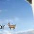 Goat Simulator Trap Remix Prod By Prod ByMTR J