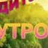 Медитация УТРО