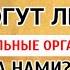 ВЫ ЗНАЛИ ОБ ЭТОМ Устаз Махмуд Абдулмумин