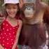 First Experience With The Famous Orangutan Must Visit Bangkok Thailand