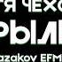 Катя Чехова Крылья VV Kazakov EFM Remix