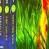 Warrior Cats Series 1 The Prophecies Begin 6 Books Collection Set By Erin Hunter NEW COVER