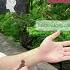 250585 Press Jianshi Points