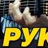 Бредишь На руках Кавер на гитаре Табы фингерстайл