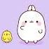 Ding Ding Ding W Piu Piu Molang Dance 7dnight