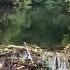 BEAVERS OCEANIC FAULT Unclogging Culvert Discharge Unleashes Tidal Wave