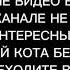 ЭКСКЛЮЗИВНАЯ ИСТОРИЯ WorldKotBegemot СТРАШНЫЕ ИСТОРИИ НА НОЧЬ КОТ БЕГЕМОТ