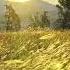 Increase Brain Power Enhance Intelligence IQ To Improve Binaural Beats Improve Memory