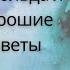 Будь нужным Семь правил жизни Арнольд Шварценеггер Честный отзыв