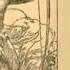 The Beasts Of Tarzan By Edgar Rice Burroughs Chapter 14 21 Alone In The Jungle