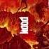 DOOM 4 Message From Dr Samuel Hayden Title Drop