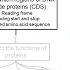 CPT Structural Workflow For Phage Genome Annotation