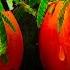 All The Fixings Zachariah Hickman Acoustic Soft Rock Rock Music To Concentrate Free Music 4K
