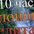 Зеленая вода Слоновья медитация 10 часов Зеленый слоник Фоновый звук воды