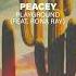 Peacey Playground Feat Rona Ray