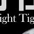 3月11日 闇の中でも自由自在 Night Tigerライブ配信